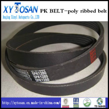 Poly-Ribbed Belt-Pk Gürtel